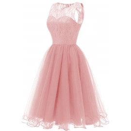 Pink Lace Round Neck Sleeveless Tulle Sexy A Line Dress