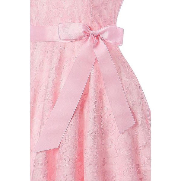 Pink Round Neck Sleeveless Zipper Back Lace Sheer Sexy A Line Dress 