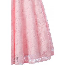 Pink Round Neck Sleeveless Zipper Back Lace Sheer Sexy A Line Dress